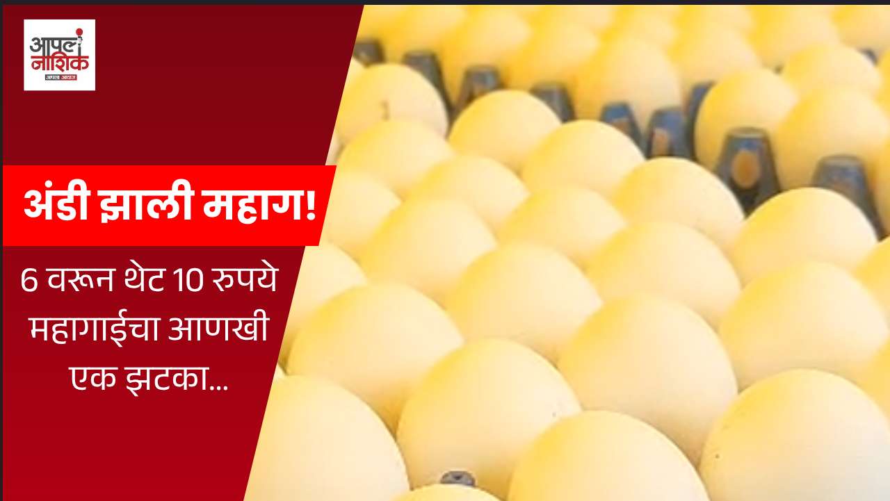 अंड्यांनी गाठला नवा उच्चांक! प्रतिअंडे १० रुपये; नाशिककरांच्या खिशाला मोठा फटका