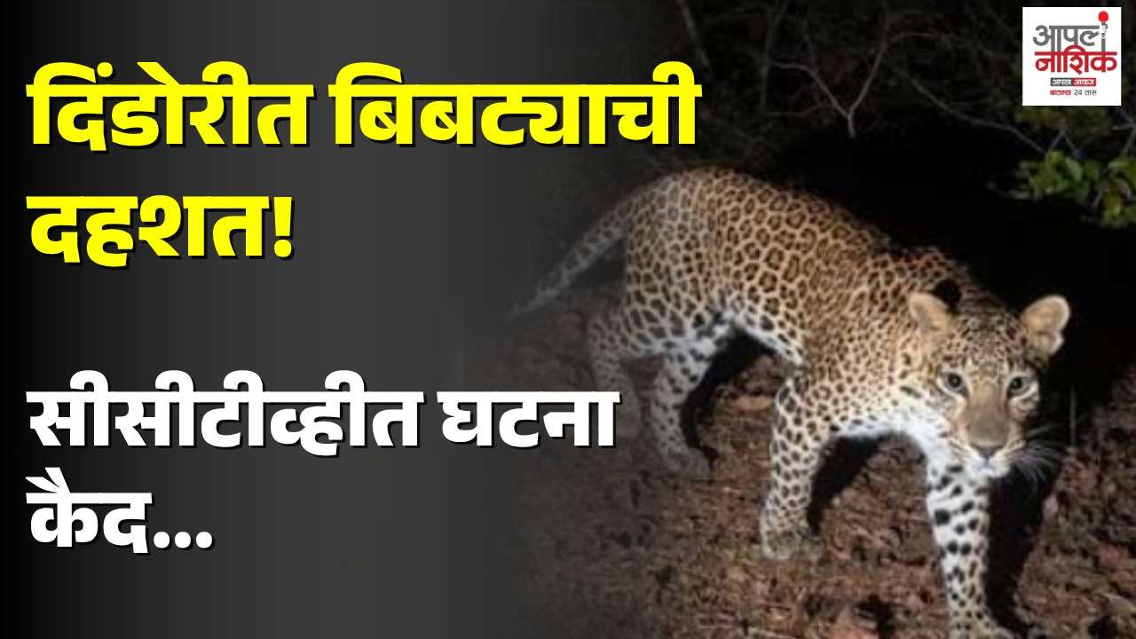 दिंडोरीत बिबट्याचा वावर; घराजवळ कुत्र्यावर हल्ला