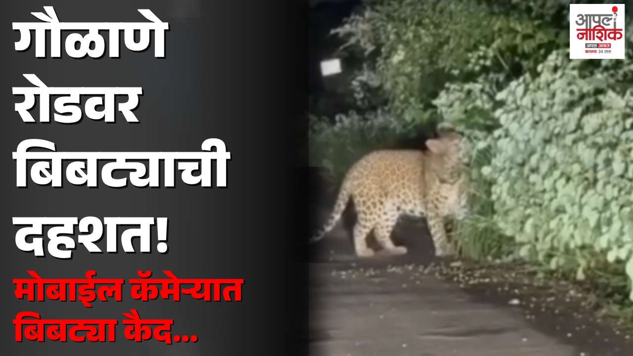गौळाणे रोडवर रात्री बिबट्याचा वावर; मोबाईल कॅमेऱ्यात VIDEO कैद, नागरिकांमध्ये भीती