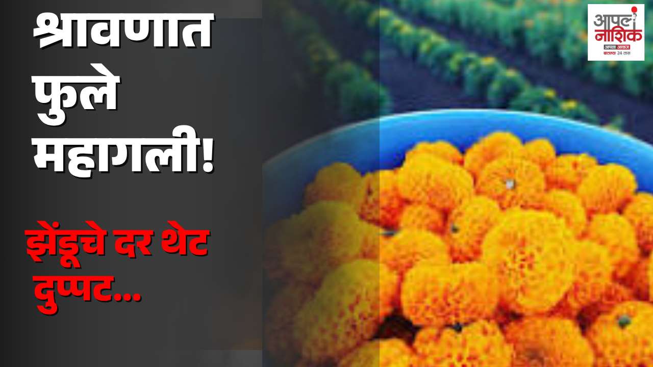 श्रावणात फुलांच्या दरात मोठी वाढ! झेंडू-शेवंती महागल्याने ग्राहकांच्या खिशाला झळ