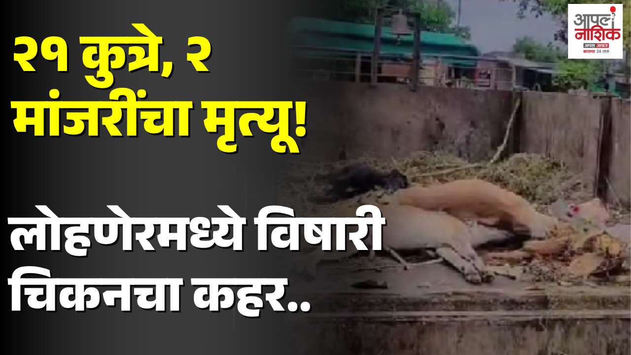भटक्या कुत्रे-मांजरींच्या मृत्यूने खळबळ; देवळा पोलिसांकडून घटनेचा तपास सुरू