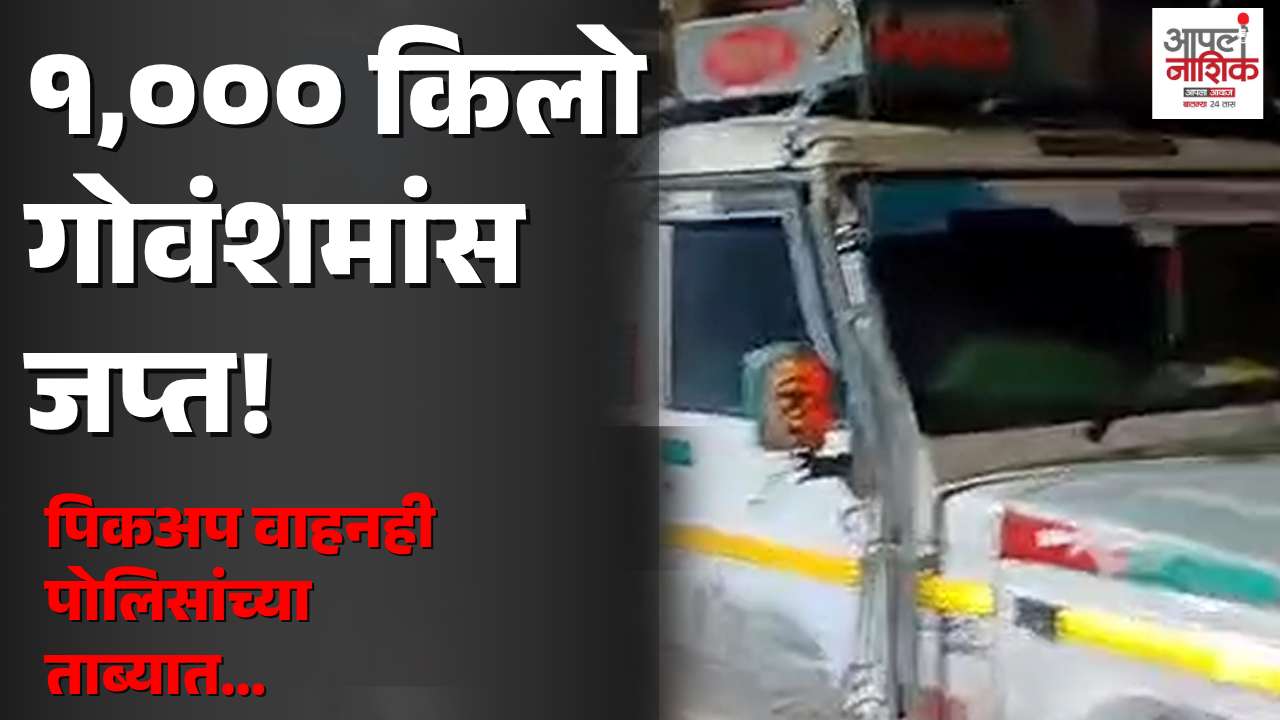 समृद्धी महामार्गावर १००० किलो गोवंशमांस जप्त; पिकअपसह ३ लाख २० हजारांचा मुद्देमाल हस्तगत