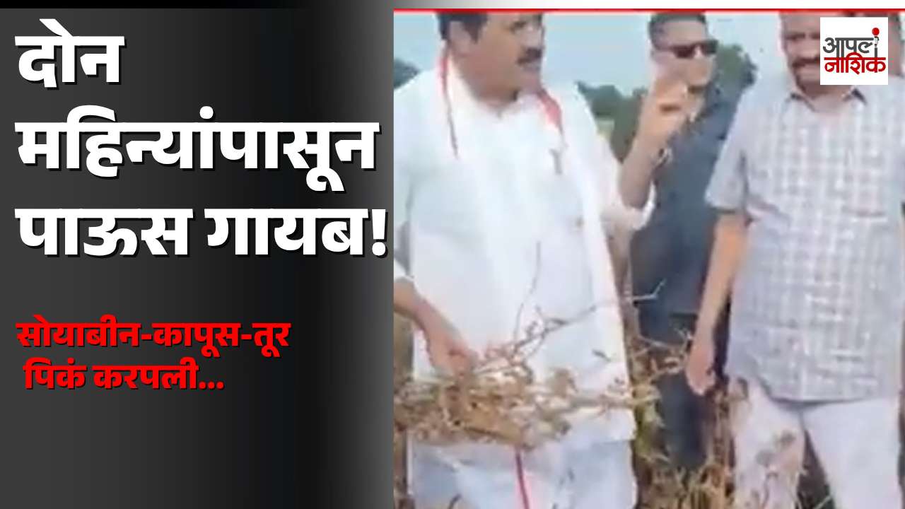 यवतमाळमध्ये पावसाने दडी मारली! | सोयाबीन, कापूस, तूर पिकं करपली | Apla Nashik |Maharashtra