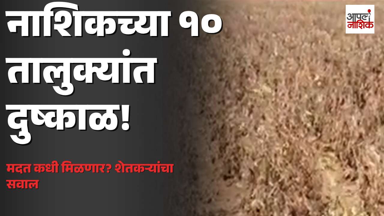 नाशिकच्या १५ पैकी १० तालुक्यांत दुष्काळ जाहीर! शेतकऱ्यांना मदत कधी मिळणार? | Apla Nashik