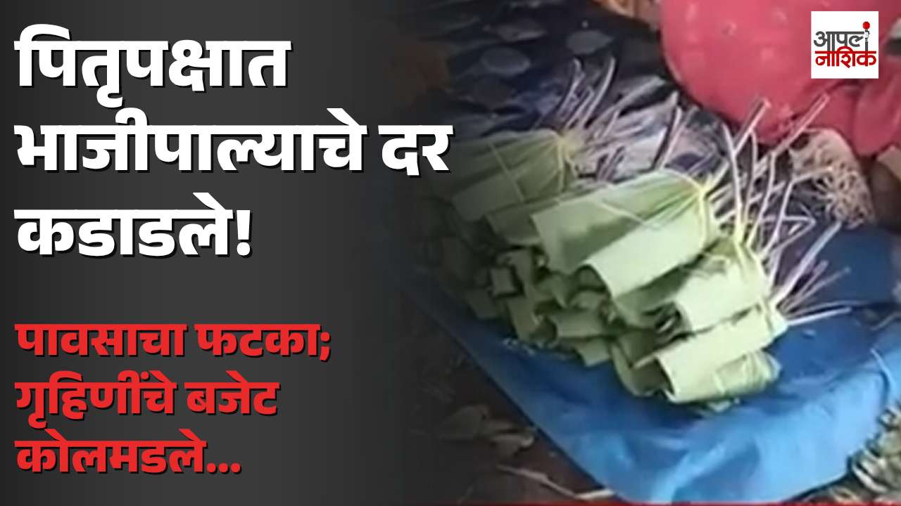पितृपक्षात भाजीपाल्याचे दर कडाडले; पावसामुळे आवक घटली, गृहिणींच्या बजेटवर अतिरिक्त भार | Apla Nashik