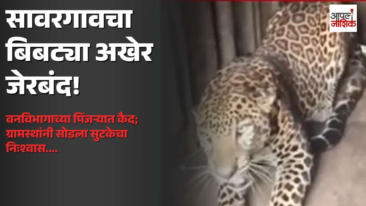 सावरगाव परिसरातील बिबट्या अखेर पिंजऱ्यात जेरबंद; ग्रामस्थांनी सोडला सुटकेचा निःश्वास