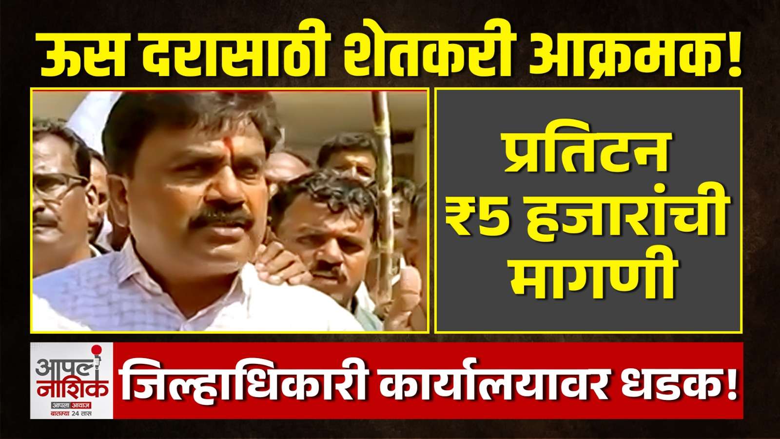 छत्रपती संभाजीनगरमध्ये दुष्काळाचा पशुधनालाही फटका! चारा-पाण्याअभावी जनावरे विक्रीला | Apla Nashik