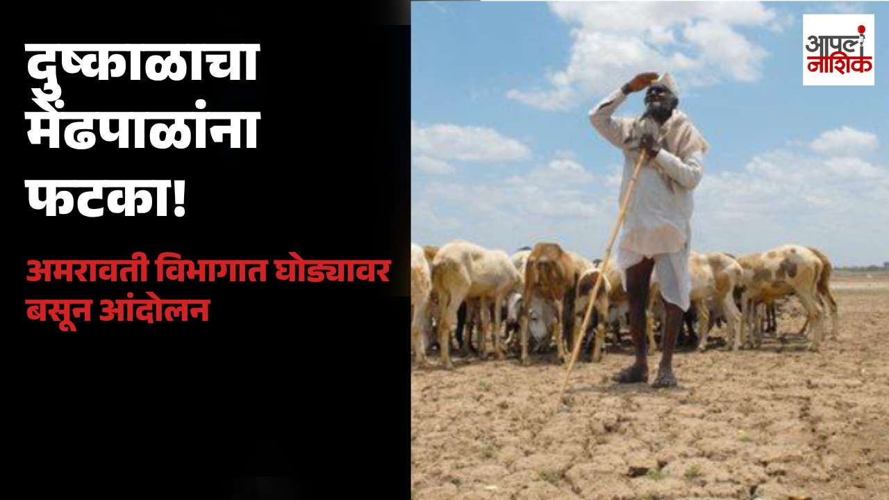 अमरावती विभागात दुष्काळामुळे मेंढपाळ समाज आर्थिक संकटात; अर्जुन महानर यांच्या नेतृत्वाखाली घोड्यावरून आंदोलन