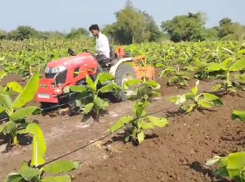 जळगावच्या चोपड्यात केळीच्या शेतीत मिनी ट्रॅक्टरचा वापर